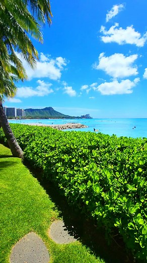 Just in case you could use some cool Hawaiian breeze and an amazing view today. #waikiki #hawaii #oahu #visithawaii | Going to Hawaii