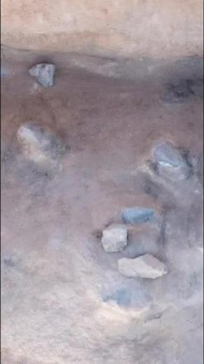 4月2日报道，美国发现一处距今约8200年历史的露营地，可能属于新墨西哥州的第一批定居者。#考古 #遗址 #美国
