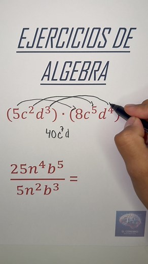 337K views · 8.6K reactions | ¿El álgebra te intimida?  En este video resolvemos ejercicios de álgebra paso a paso, con explicaciones claras, simples y llenas de trucos para que entiendas todo de una vez por todas. ✅ Ideal para estudiantes y amantes de las mates que quieren mejorar rápido. 易 ¡Dale play y conviértete en crack del álgebra!  #MatemáticasFáciles #Álgebra #AprendeConmigo #EducaciónParaTodos #MathTok | El Cerebro Matemático1 | Facebook