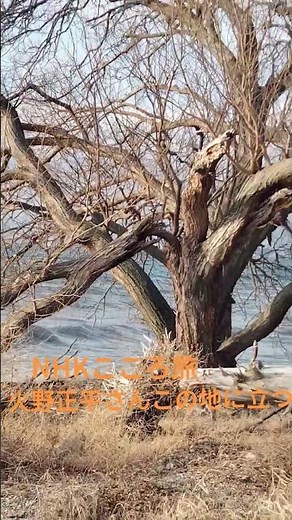 懐旧、舟木一夫さん「あの頃」。2013年NHKこころ旅で火野正平さんが米原市のここ琵琶湖畔で視聴者のお手紙を読んでました〜。あの頃はお元気でした〜、残念。