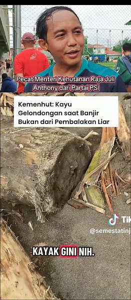 Pecat Menteri Kehutanan: Raja Juli Anthony Termul