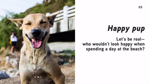 The best 5 smiling animals!