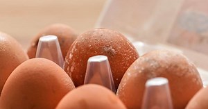 Como saber se um ovo está podre? 3 truques fáceis para descobrir