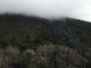 Free surround sound ambiences from forests, canyons, parks and wetlands