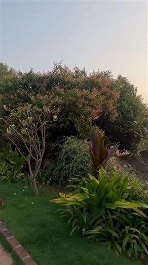 Ravishing retreat #bidadi #resort #travel #relax