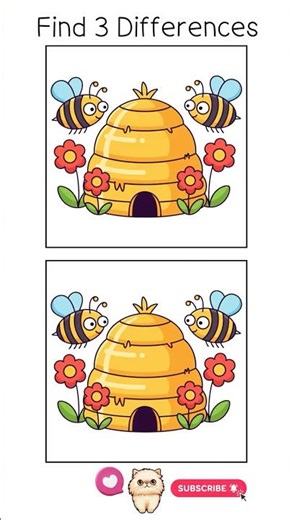 🐝Find the 3 differences