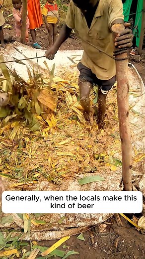 Banana Beer Making Process in Africa #gardening #gardentools #gardeningtools #tool | Happy Gardening