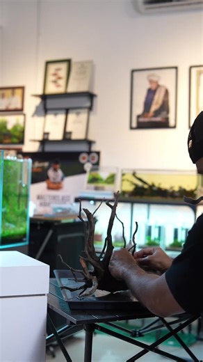 Aquascaping Tips for Creating a Stunning Nature Aquarium