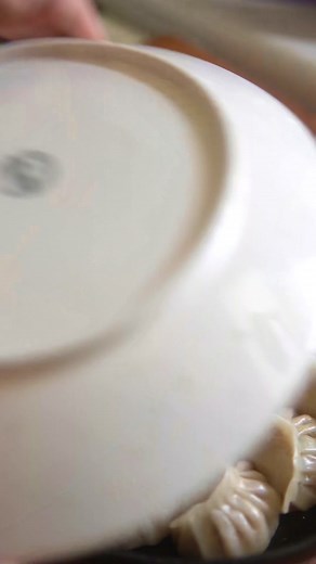 Homemade Pan-Fried Gyozas Recipe Tutorial