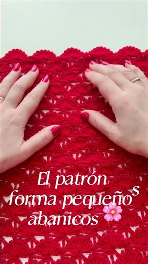 Pañuelo tejido con Punto Abanico en V #24 🧶✨