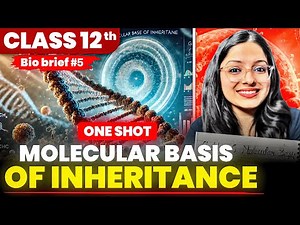 Molecular Basis of Inheritance One Shot | Class 12 Biology Board Exam 2025 | Bio Brief Series
