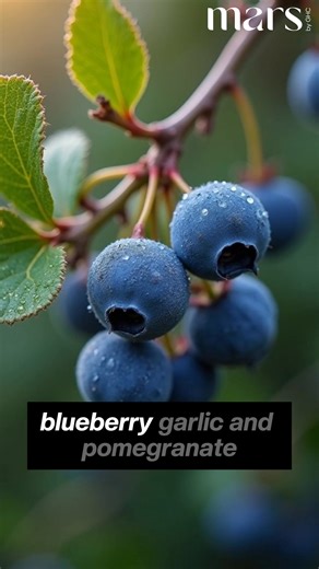 🚨 7 silent signs your prostate might be in trouble: weak stream, frequent night trips, pain, or even loss of performance. The good news? You don’t need to take five different supplements. Mars Nitroprex combines Beetroot, L-Arginine, Blueberry, Garlic & Pomegranate into one powerful capsule to support prostate health, energy & circulation. | Mars Canada