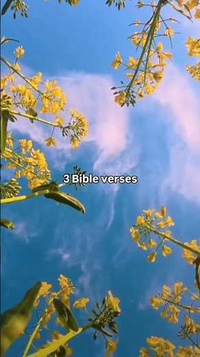 Bible Verses For Perseverance & Hope #dailybibleverses #jesuslovesyou