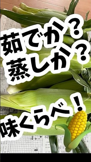 とうもろこしの季節到来！蒸しor茹で 味くらべ！#とうもろこし #味くらべ#かんたん料理 #簡単レシピ #cooking #料理 #茹で#蒸し料理 #甘々娘#どっち派 ＃食べくらべ