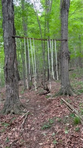 wasn’t ready for this… magical portal in the woods trail #artinpublic