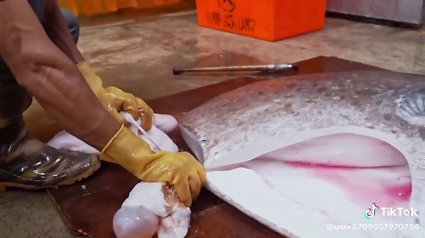 Amazing！Giant Sunfish Cutting Skills, Sunfish Catching, Sunfish Jelly 驚奇的漫波魚切割技巧,翻車魚捕捉,燙漫波魚腸-佳濱成功旗魚_P_01