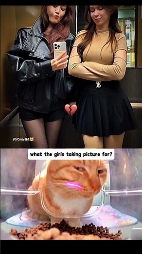 Sus Girls🤨🙀#react #explore #funny #cat #memes #explore #viral #shorts