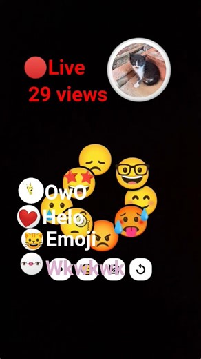live palsu 👁👄👁
