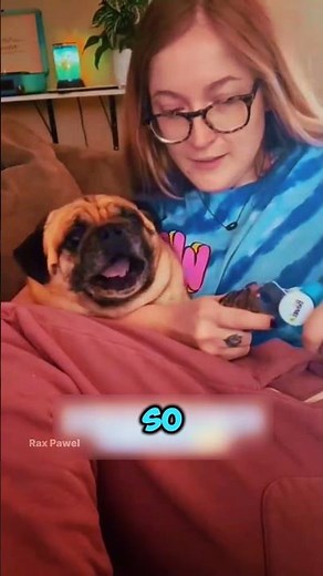 How Dogs Can Trim Their Own Nails 🐕🧠 #shortfeeds #shorts