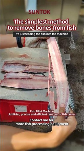 Fish Fillet Machine for 3kg Mullet