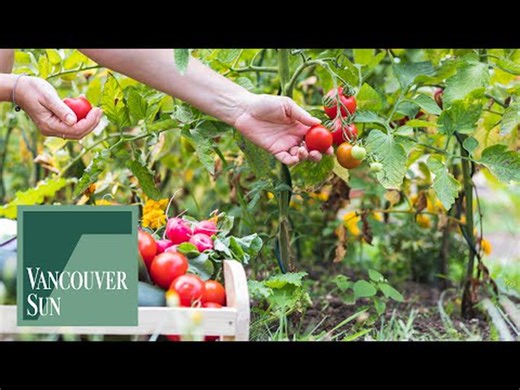 Brian Minter: Are you a spring garden gambler? Tips to stack the odds in your favour