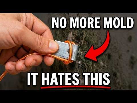 Connecting Two Metals KILLS ALL Mold — The "Earth Shield" Secret They Buried