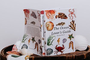 Ocean Lover's Guide | Illustrated Marine Life Nature Book - Etsy
