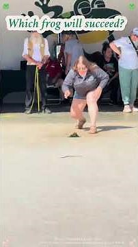 97th annual frog jumping competition#frog #frogjump