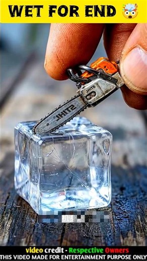 Amazing Facts The smallest things on Earth that will blow your mind! 🤯 | #youtubeshorts #shorts