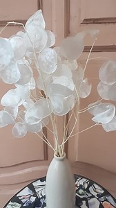 Bleached Lunaria Stems, Dried Honesty Flowers, Silver Dollar Plant - Etsy UK