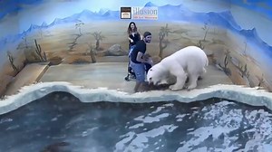 Augmented Reality zoo Room 2018 | Mystery of Life