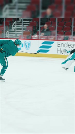 Enhancing Player Performance in Hockey