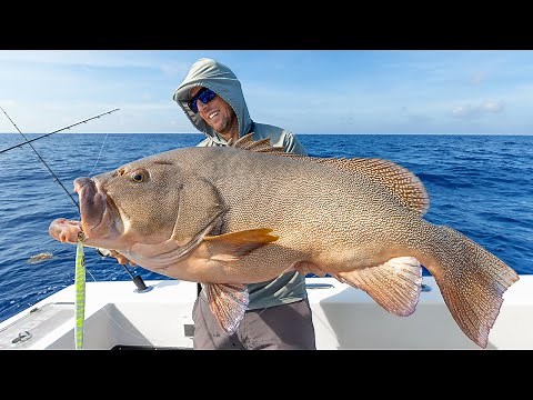 15 Hours Offshore Fishing for the Gulf’s Most Elusive Grouper (Kitty Mitchell)