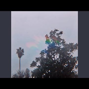 Acid Rain