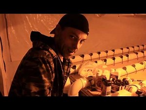 Recette hydroponique de croissance