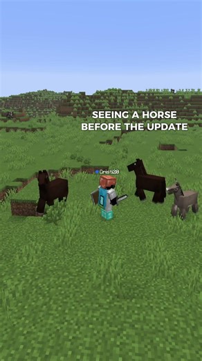 The New Update in Minecraft be Like #minecraft