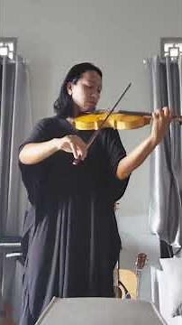 realistic violin adult beginner practicing ave maria schubert self taught