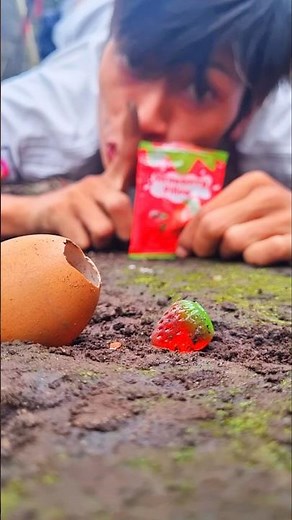 No sound, so that the millipede comes out of its egg #shortvideo #millipede