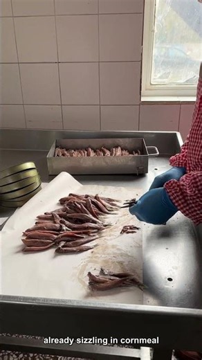 🐟 Turkey's Most Obsessed-Over Fish Is Smaller Than Your Finger