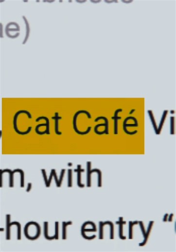 ‏Have you read the article? 🐈‍⬛ #cats #catsoftiktok #catcafe