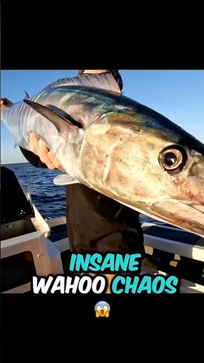 Epic Wahoo Fishing Adventure