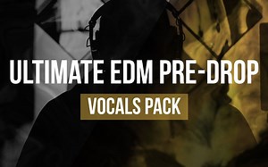 [Royalty Free] - EDM 人声短语采样包