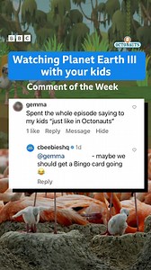 Get your Octo bingo cards ready! ☑️ #PlanetEarth3 #Octonauts | CBeebies Parenting