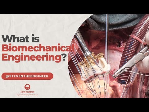 Biomechanical Engineering: Unveiling Biomechanics