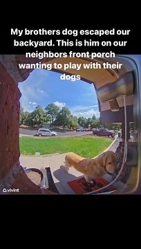 38K views · 424 reactions | Rumble on Reels | Facebook