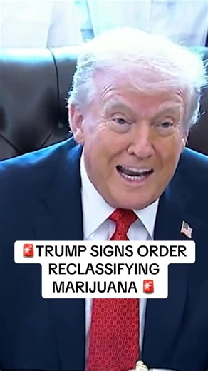 LiveNOW from FOX on Instagram: "BREAKING: President Trump signs order reclassifying marijuana. #trump #news #breaking"