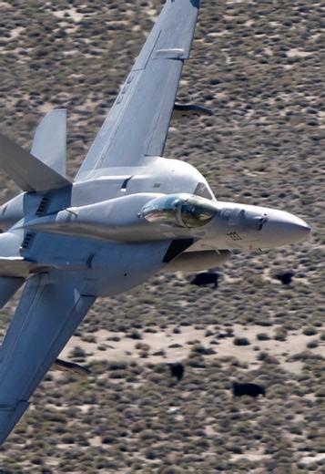 Vampires Making a Low River Run with F/A-18s