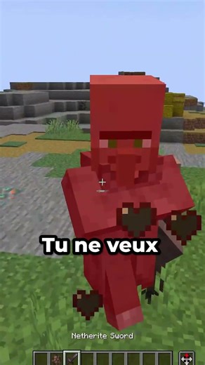 5 SECRETS CACHÉS sur Minecraft