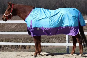  IN STORE SPECIAL: $40MATCH YOUR HORSE & MINI with our Rugged Ride 600 Denier Waterproof Turnout Sheet  ❗️FOR 1 WEEK ONLY. DO NOT MISS THIS DEAL❗️ We are the SAME location as our online store! Save on shipping and shop in our store in Harrington, Delaware! www.chicksaddlery.com | Chick Saddlery - Retail Store | Facebook