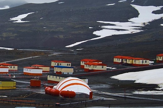 Why this town requires residents to remove their appendix to live there